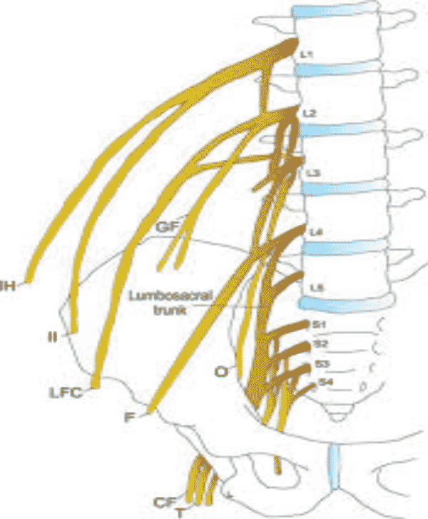 A Good Assessment | Kaizen Physiotherapy Health Centre