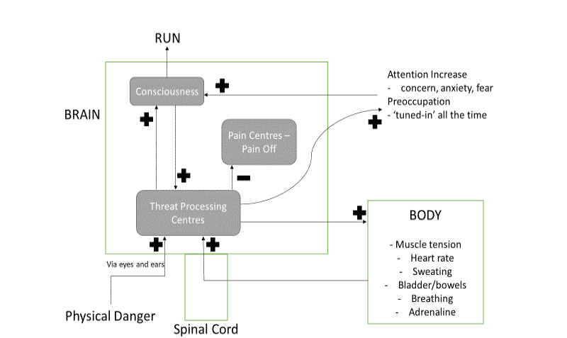 How does the brain process threat? | Kaizen Physiotherapy Health Centre