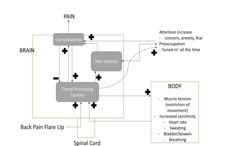 How does the brain process threat? | Kaizen Physiotherapy Health Centre